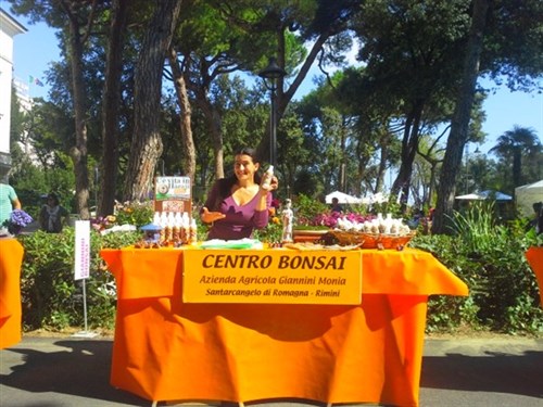 Rimini