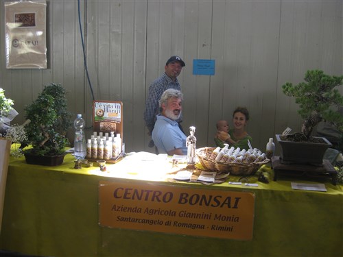 Fiera con Bonsai in Italia