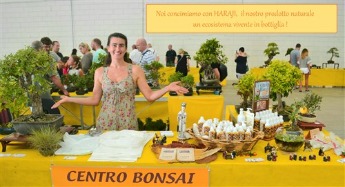 Haraji in Fiera