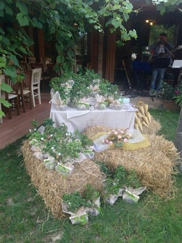 Allestimento rustico Matrimonio